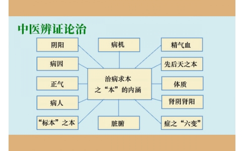 辨證論治