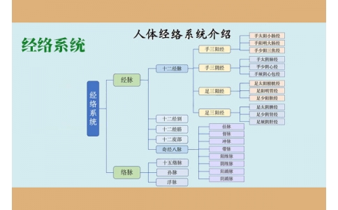 經絡系統