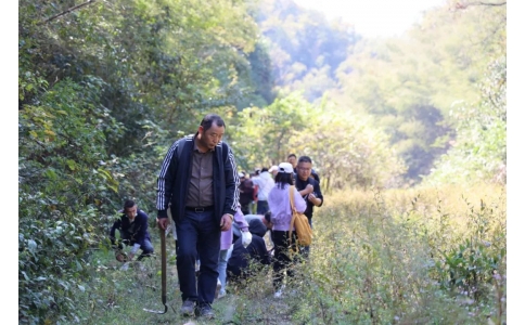 踏秋尋寶，聞香識藥！首屆神農杯野外識藥大賽在株洲鳳凰山景區成功舉辦！