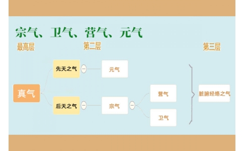 中醫(yī)里的“宗氣”、“衛(wèi)氣”、“營氣”、“元氣”